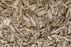 biomass boilers Carrog