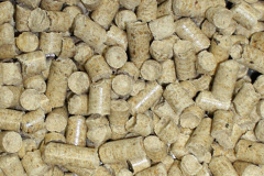 Carrog biomass boiler costs