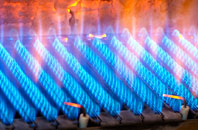 Carrog gas fired boilers